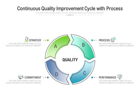 Continuous Quality Improvement Cycle