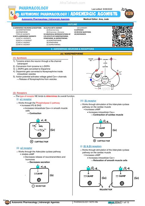 Solution Adrenergic Agonists Notes Studypool