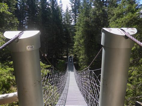 Facciamo Un Giro In Centro Parco Naturale Di Paneveggio