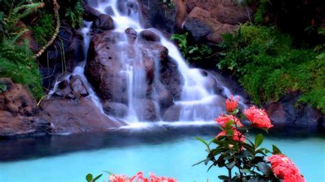 Tropical Waterfalls Wallpaper - WallpaperSafari