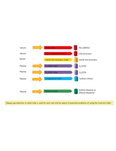 Clin Path Intro Flashcards Quizlet