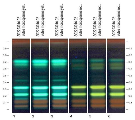 Chromatography for Plant Pigments | Anchrom