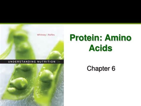 Ppt Protein Amino Acids Powerpoint Presentation Free Download Id