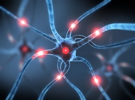 Neurogénesis cómo se crean nuevas neuronas Centro Psicológico CPC