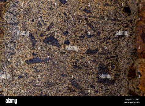 Sedimentary Rock Greywacke Hi Res Stock Photography And Images Alamy