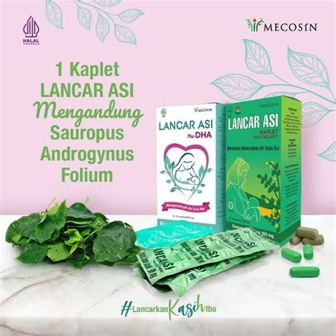 Jual Lancar ASI Dengan Ekstrak Daun Katuk Isi 30 Kaplet Shopee Indonesia