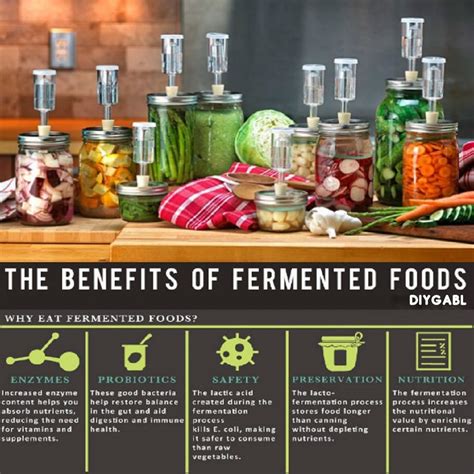 Health Benefits Of Fermented Foods And How To Ferment Foods