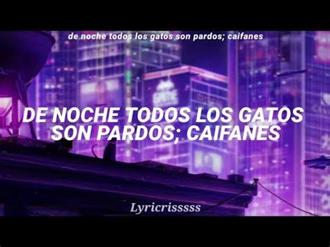 De Noche Todos Los Gatos Son Pardos Caifanes Letra Youtube