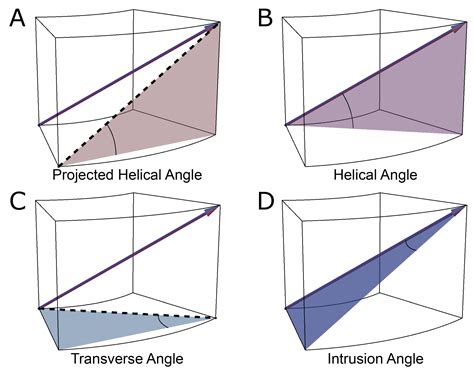 Assessing Myocardial Architecture The Challenges And Controversies