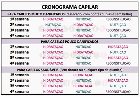 Cronograma Capilar O Que Como E O Que Usarei Fala Dantasfala