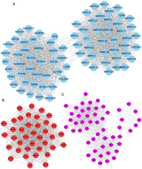 Construction Of Key YRDC Mediated Protein Protein Interaction Networks