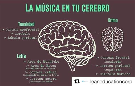 El Efecto De La M Sica En Nuestro Cerebro Lean Education