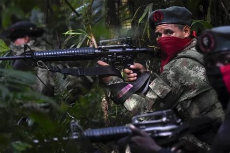 La Narcoguerrilla Colombiana Explota Oro Ilegalmente Dentro De