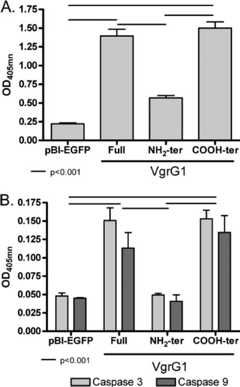 Apoptosis Of HeLa Tet Off Cells Expressing Genes Encoding Different