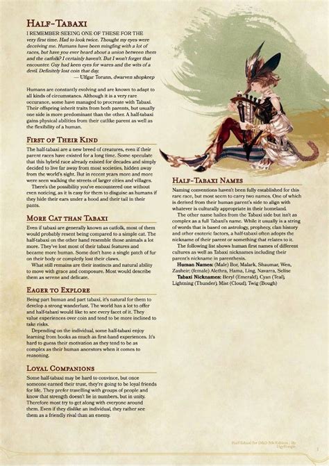 Half tabaxi home brew | Dungeons and dragons races, Dnd races, Dnd dragons