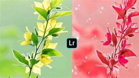 How To Use Lightroom Color Grading Tool Lightroom Cc Mobile Color Correction Lightroom Photo