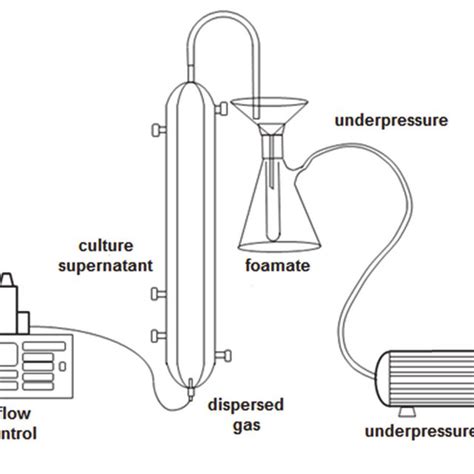 Foam fractionation equipment setup | Download Scientific Diagram