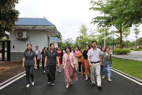 苍梧法院开展保护妇女儿童权益专题开放日活动 澎湃号·政务 澎湃新闻 The Paper