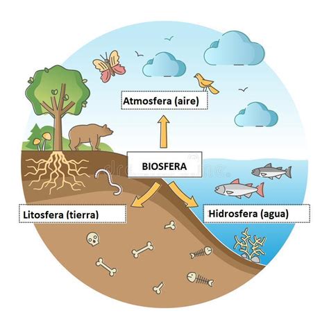 Dibujos De La Tierra Con Las Capas Geosfera Hidrosfera Atmosfera Hot Sex Picture