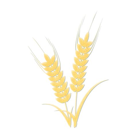 Hand Painted Wheat Png Transparent Hand Painted Golden Wheat Png