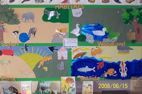 Habitats Classroom Display Photo Photo Gallery Sparklebox