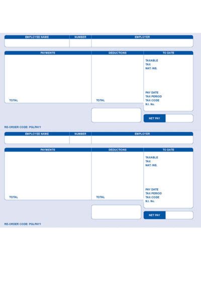 SGE010 Sage Compatible Payslips Two Payslips Per Page