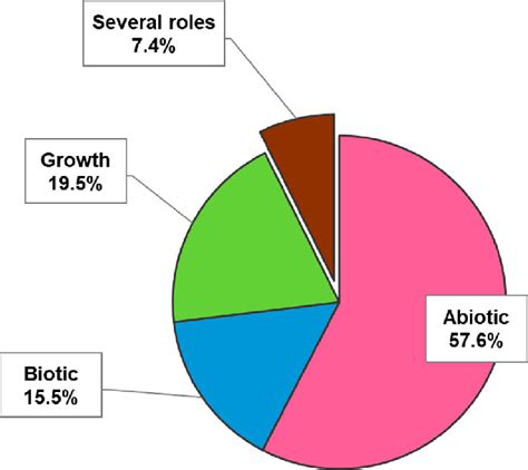 Potential Roles Of Fungal Endophytes Studied In Literature Research