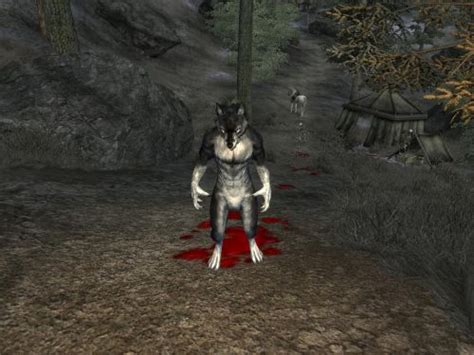 Моды На Tes 4 Oblivion скачать - developersshares