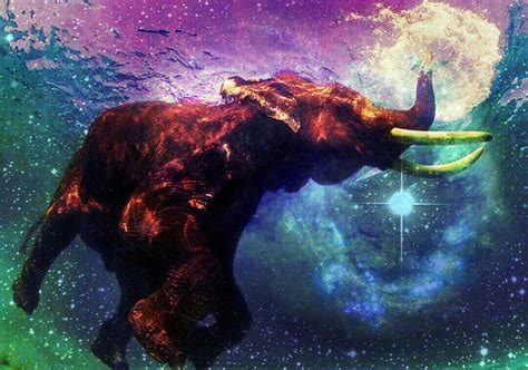 Elephant On Lsd By Ansonyjouvanny On Deviantart