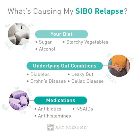 What Is Causing Your Sibo Relapse Amy Myers Md