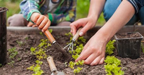 Descubre Que Es La Horticultura Org Nica En Humus Natural