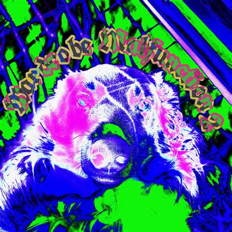 ‎wardrobe Malfunction 2 Album By Wardrobe Malfunction Apple Music