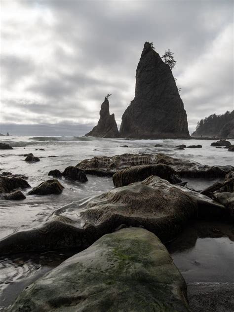 Rocky Pacific Northwest Coast Sea Stacks On Rialto Beach Stock Image