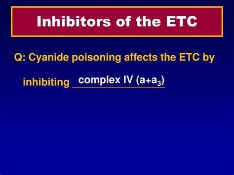 Ppt Electron Transport Chain Oxidative Phosphorylation Powerpoint