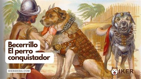 Becerrillo El Perro Conquistador YouTube