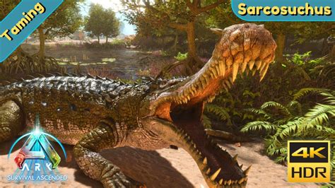 ARK Survival Ascended Tame A Sarcosuchus YouTube