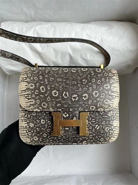 Hermès Constance Mini 18cm Ombre Lizard 自然色蜥蜴皮 原色蜥蜴皮 金扣 Qatar Kuwait