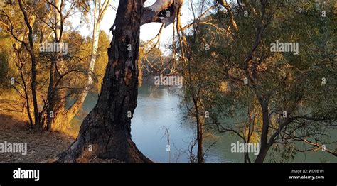 Murrumbidgee River Hi Res Stock Photography And Images Alamy