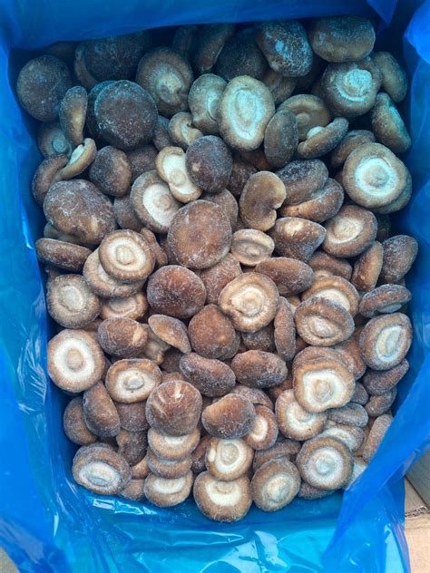 Frozen Mushroom Iqf Mushrooms High Quality Frozen Mushrooms China