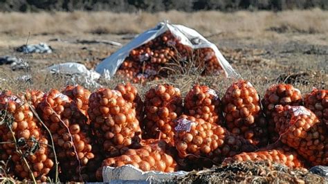 La Escapada Cerca De Buenos Aires A Un Pueblo Desconocido Que Se Dedica