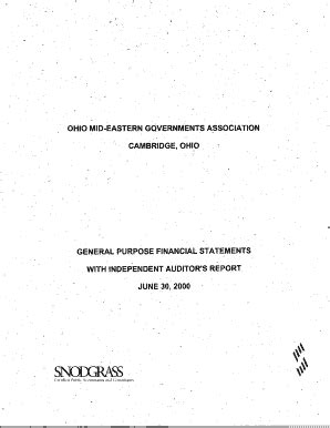 Ohio Mid Eastern Governments Association Auditor State Oh Form Fill