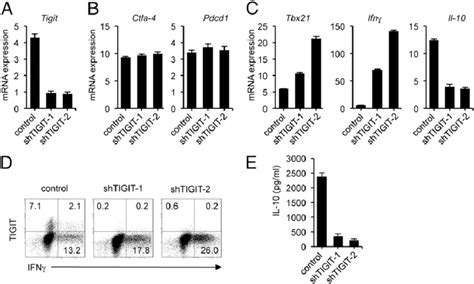 Knockdown Of TIGIT Expression In Human CD4 T Cells By Lentiviral