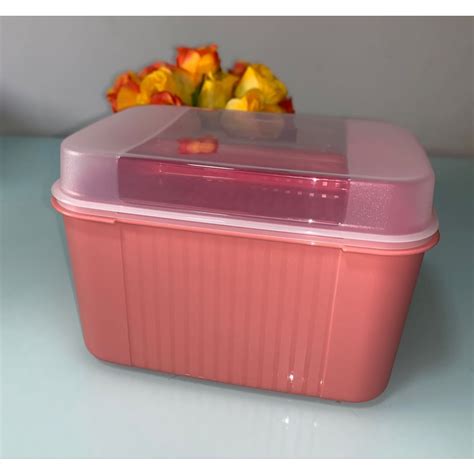 Tupperware Visual Box Bandeja 4 5 Litros GOIABA TUPPERWARE Shopee