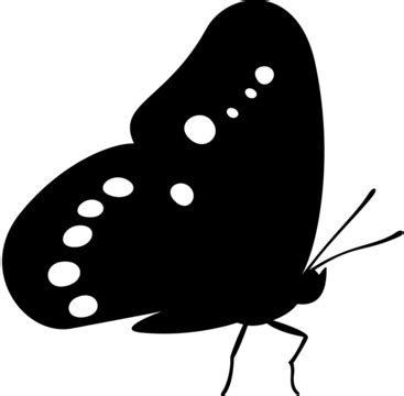 Butterfly Butterfly Eyes Silhouette PNG And Vector Images Free Download ...