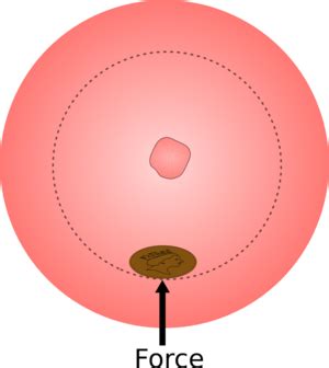 X la Vida sin Prisas Experimentos V El movimiento de los satélites