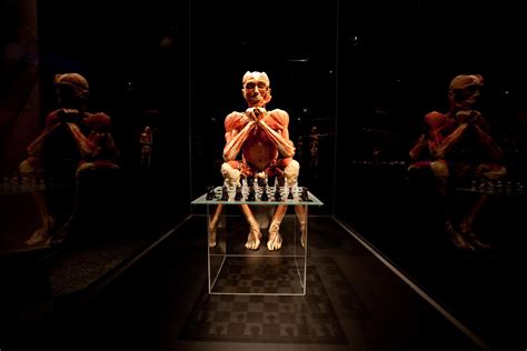 Body Worlds W Katowicach Super Express