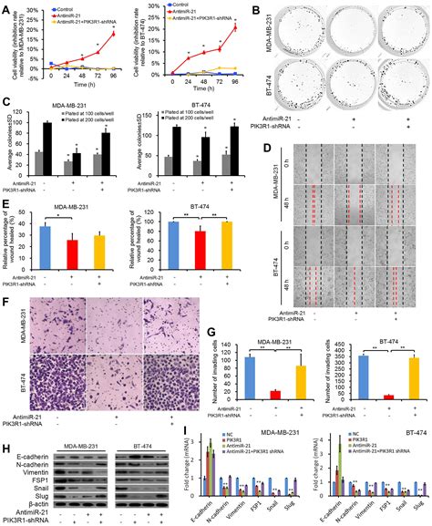 Pik R Targeting By Mir Suppresses Tumor Cell Migration And Invasion