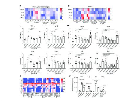 CSF 1RAb Alleviated The Expressions Of Inflammatory Cytokines In Both