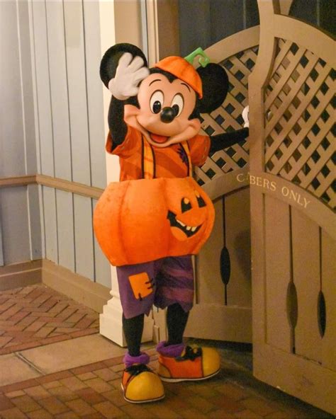 Pin By CC Hoehn On Mickey Mickey Halloween Disneyland Photography