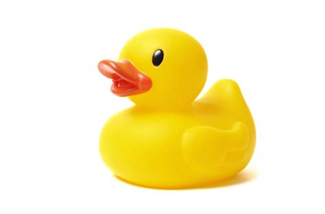 Yellow Rubber Duck For Bath Time Stock Photo - Download Image Now - iStock